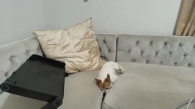 Snapshot of BarbieKarly chatting on 12/01/25, 01:21 BarbieKarly online show from 12/01/25, 01:21