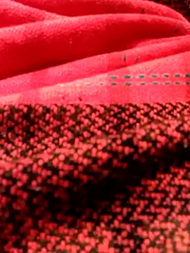 Aaisha-16 online show from 12/15/25, 03:22