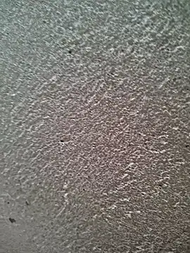 bold guy 1234 online show from 03/30/26, 06:03