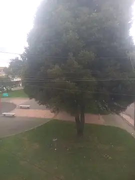 Snapshot of Girl_luna_ chatting on 10/03/25, 05:43 Girl luna online show from 10/03/25, 05:43