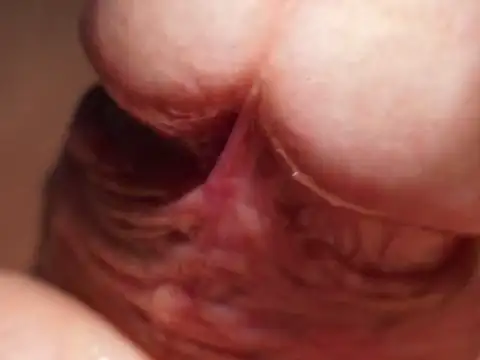 Kadazano online show from 04/07/26, 03:01