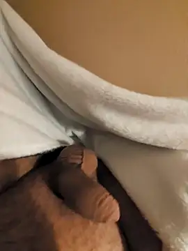 verjaya online show from 11/15/25, 10:26