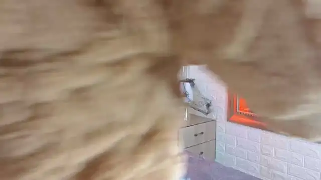 sofiagutierrez   online show from 10/09/25, 03:04