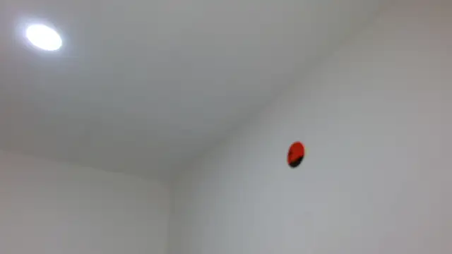 Snapshot of jaico_santos chatting on 02/16/26, 11:12 jaico santos online show from 02/16/26, 11:12