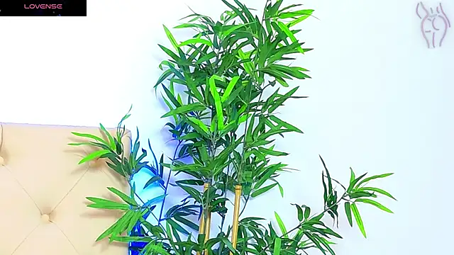 CoraVex online show from 09/16/25, 06:03