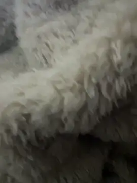 Snapshot of futsam653 chatting on 11/12/25, 09:21 futsam653 online show from 11/12/25, 09:21