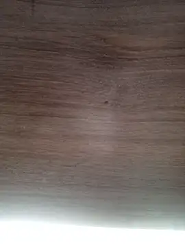 ValeriaLove43211 online show from 03/06/26, 06:43