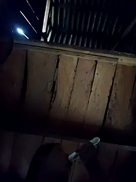 callistra online show from 10/06/25, 08:23