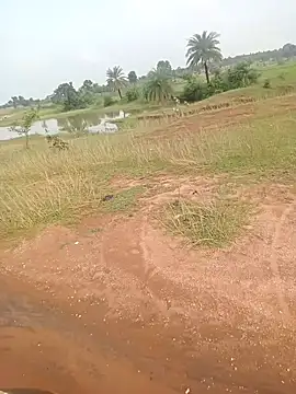 AgitatedStrip9 online show from 09/22/25, 02:35