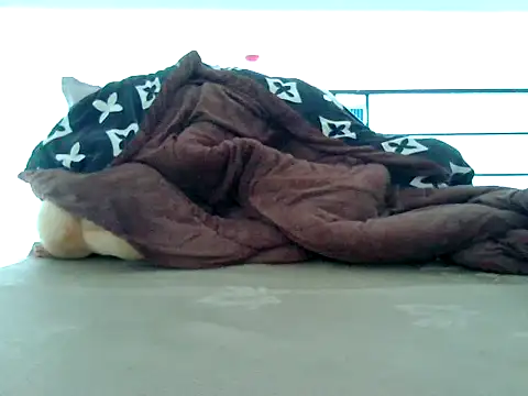 loveninja online show from 11/08/25, 06:13