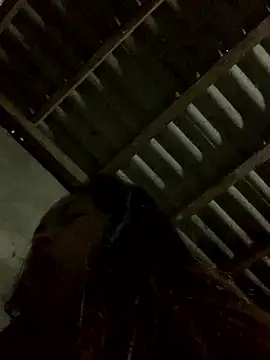 Halyy xx online show from 01/12/26, 11:54