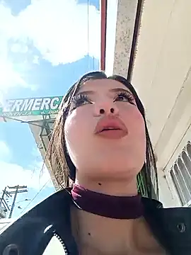 Snapshot of SALOME-28_ chatting on 06/17/26, 02:29 SALOME-28 online show from 06/17/26, 02:29