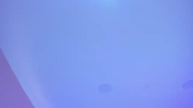 cata monrey online show from 10/29/25, 07:37