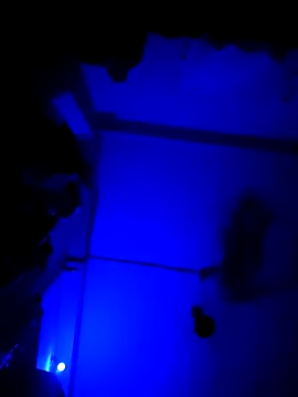 chunkyguy98 online show from 10/06/25, 07:22