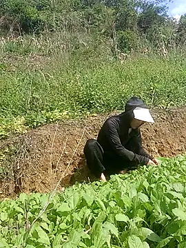 Norah-h online show from 10/30/25, 02:24