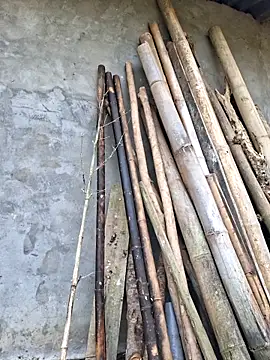 diamond-- online show from 04/17/26, 12:57