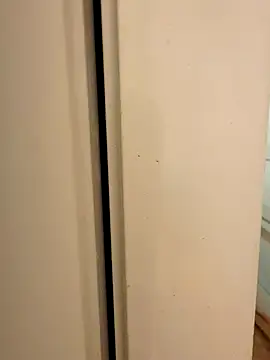 hhhajjib online show from 11/17/25, 05:19