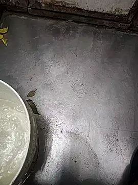 telugumodda4396 online show from 11/12/25, 01:50