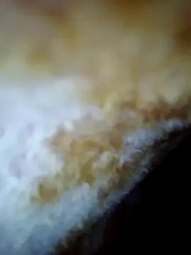 alone boy802 online show from 10/30/25, 06:26