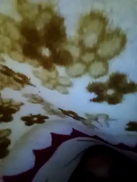 Snapshot of alone_boy802 chatting on 11/08/25, 07:30 alone boy802 online show from 11/08/25, 07:30