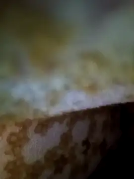 Snapshot of alone_boy802 chatting on 11/09/25, 01:15 alone boy802 online show from 11/09/25, 01:15