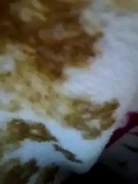 Snapshot of alone_boy802 chatting on 11/09/25, 04:49 alone boy802 online show from 11/09/25, 04:49