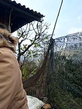 helenzz online show from 12/18/25, 01:33