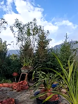 helenzz online show from 12/22/25, 01:57