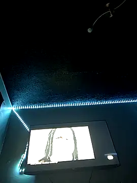 Snapshot of Painstickwes chatting on 02/05/26, 09:52 Painstickwes online show from 02/05/26, 09:52