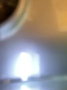 miumiu-66 online show from 04/24/26, 09:12