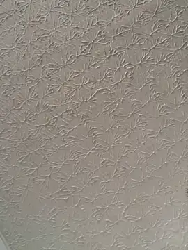 big bearr online show from 11/07/25, 01:44