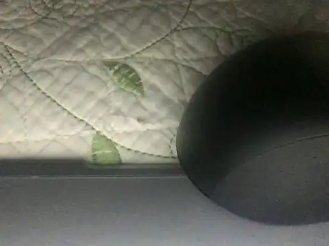 paula19800 online show from 10/03/25, 10:34