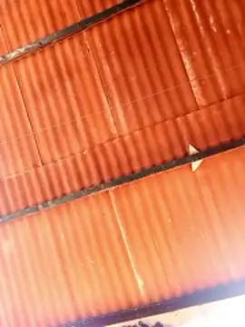 Goofygoody17 online show from 02/08/26, 10:29