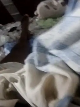 Dchocolatina online show from 12/19/25, 11:39