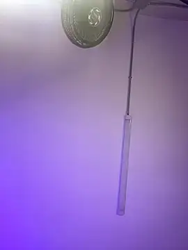 ChloeRosses online show from 03/06/26, 11:01