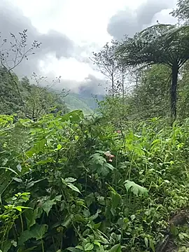 Penny39 online show from 10/09/25, 01:36