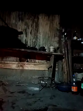 bree-zz online show from 04/07/26, 10:31