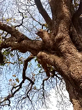 Rs sonam online show from 04/04/26, 10:57