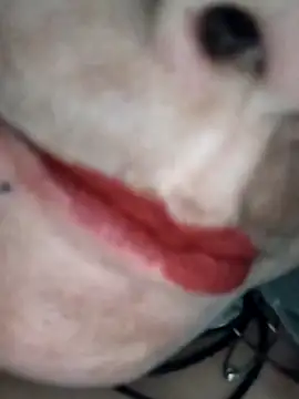 Na shreya online show from 02/01/26, 03:21