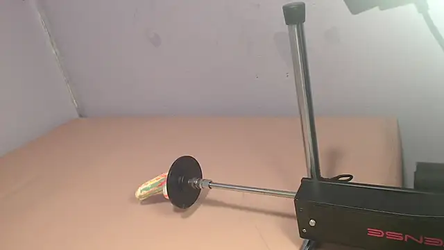 codorniz2025 online show from 04/23/26, 08:46