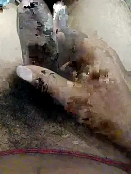 nagepalli online show from 11/01/25, 02:13