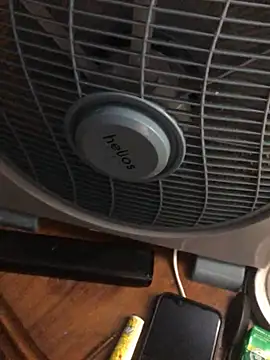 -bunny06 online show from 10/02/25, 07:10