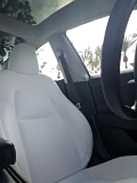 Roddog18 online show from 12/20/25, 07:32