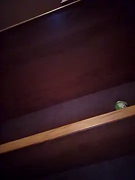 DeeBestEver online show from 11/04/25, 01:16