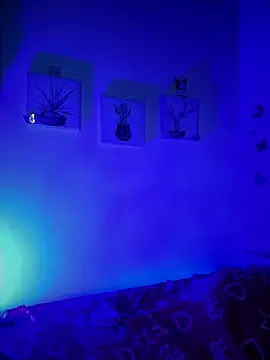 Solaangel  online show from 12/17/25, 11:44