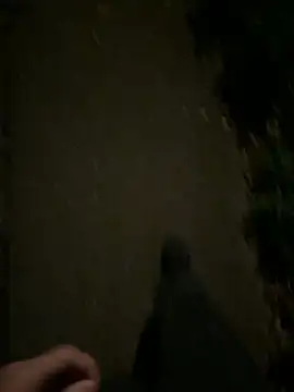 Snapshot of ncjuice_ chatting on 10/31/25, 10:00 ncjuice  online show from 10/31/25, 10:00