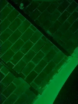 Buddha289 online show from 03/09/26, 07:34