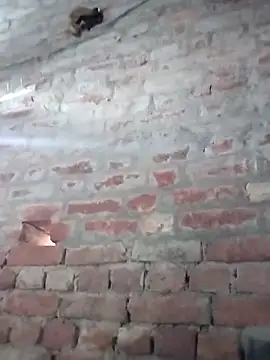 Rani 089 online show from 10/06/25, 01:58