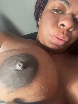 Priihmedeiros online show from 11/22/25, 10:14