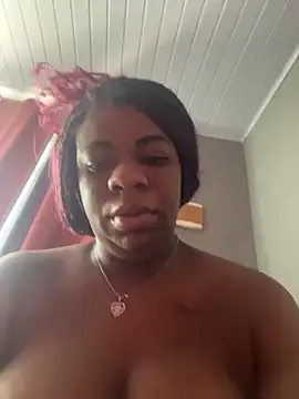 Priihmedeiros online show from 12/15/25, 11:36